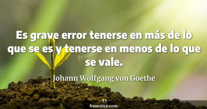 Cita de Johann Wolfgang von Goethe