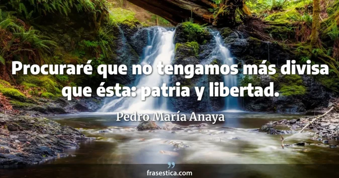 Cita de Pedro María Anaya