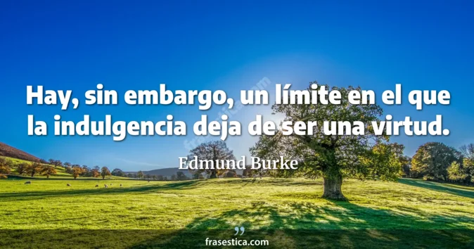 Cita de Edmund Burke