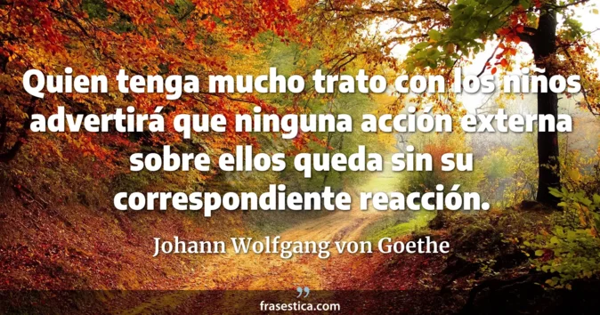 Cita de Johann Wolfgang von Goethe