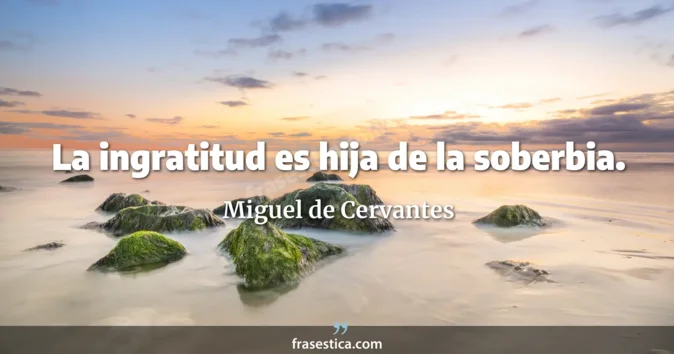 Cita de Miguel de Cervantes