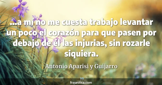 Cita de Antonio Aparisi y Guijarro