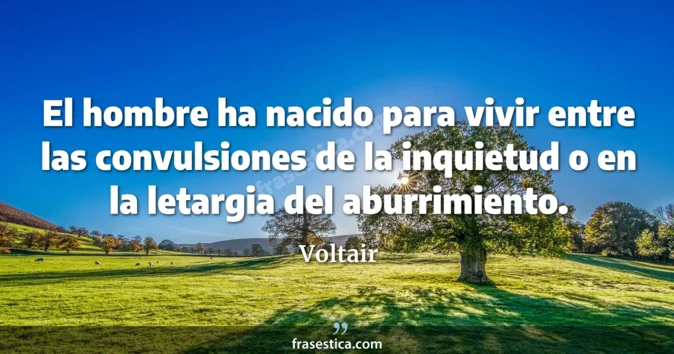 Cita de Voltair