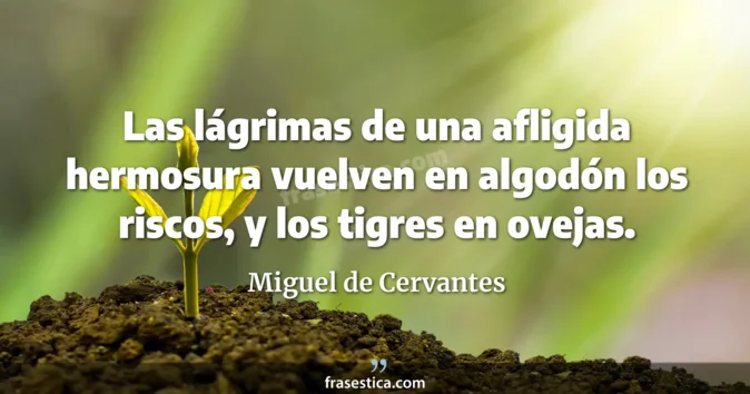 Cita de Miguel de Cervantes