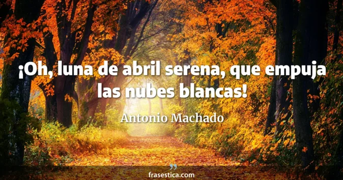Cita de Antonio Machado