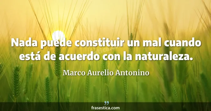 Cita de Marco Aurelio Antonino