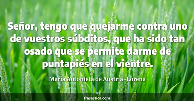 Cita de María Antonieta de Austria-Lorena