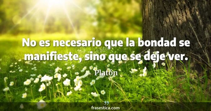 Cita de Platón
