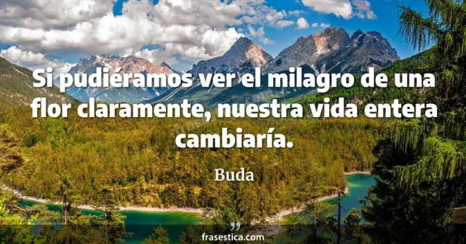Cita de Buda