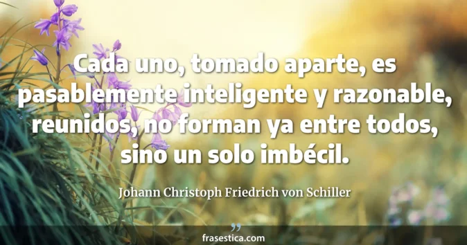 Cita de Johann Christoph Friedrich von Schiller