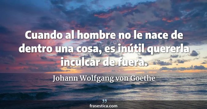 Cita de Johann Wolfgang von Goethe
