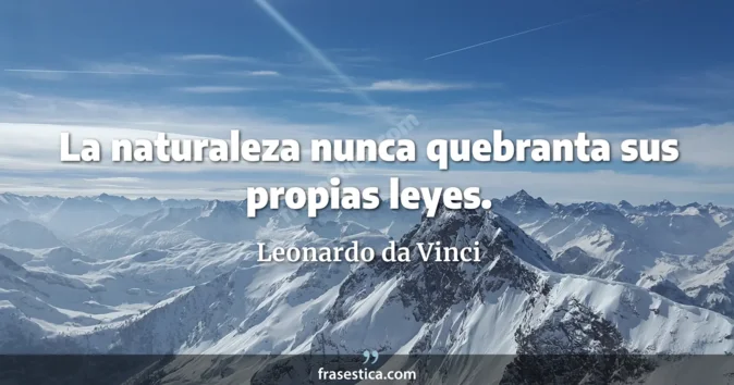 Cita de Leonardo da Vinci