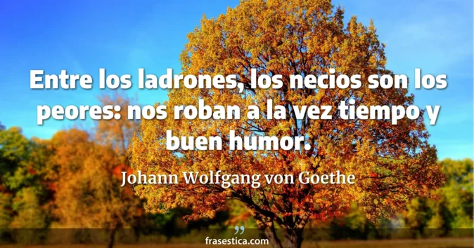Cita de Johann Wolfgang von Goethe