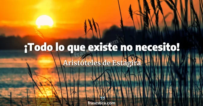 Cita de Aristóteles de Estagira
