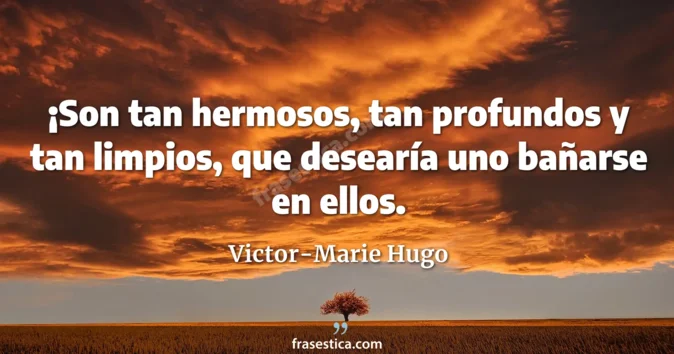 Cita de Victor-Marie Hugo