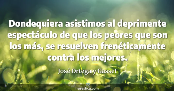 Cita de José Ortega y Gasset