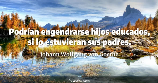 Cita de Johann Wolfgang von Goethe