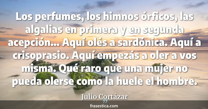 Cita de Julio Cortázar