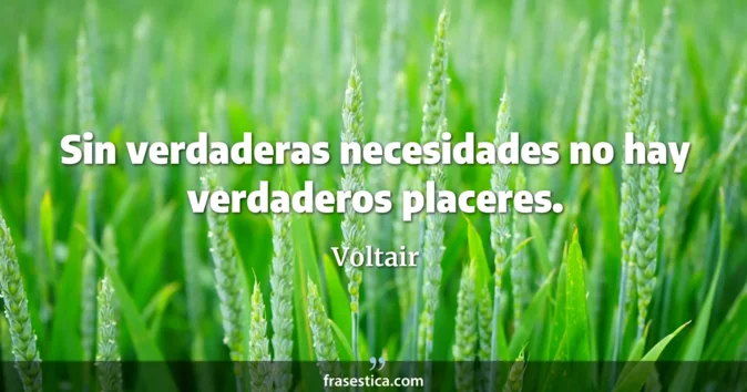 Cita de Voltair
