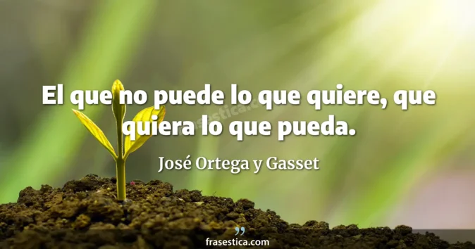 Cita de José Ortega y Gasset
