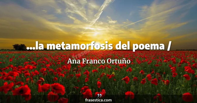 Cita de Ana Franco Ortuño