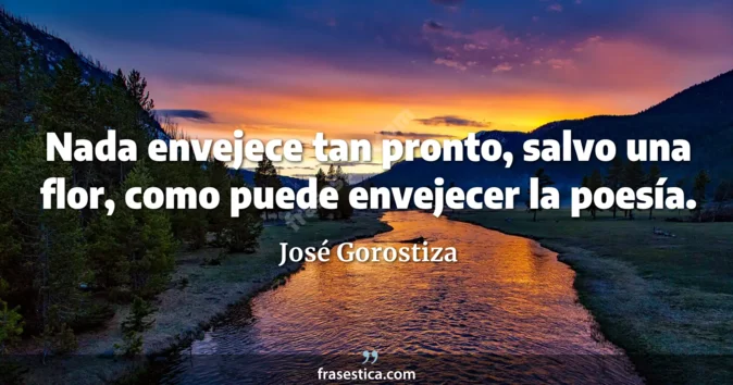 Cita de José Gorostiza