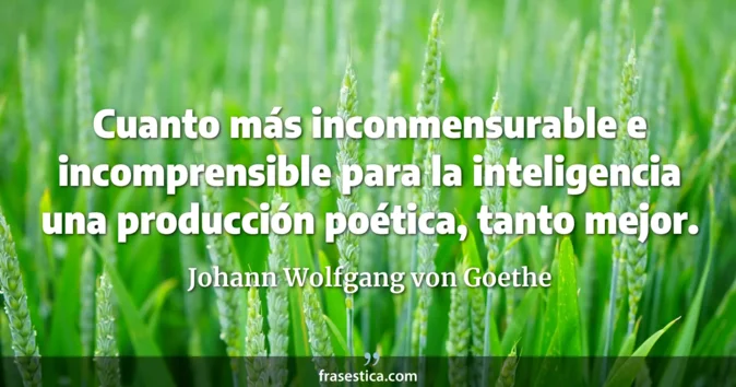 Cita de Johann Wolfgang von Goethe