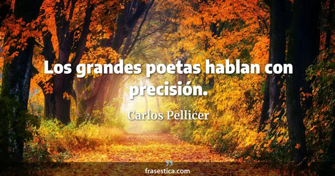 Cita de Carlos Pellicer