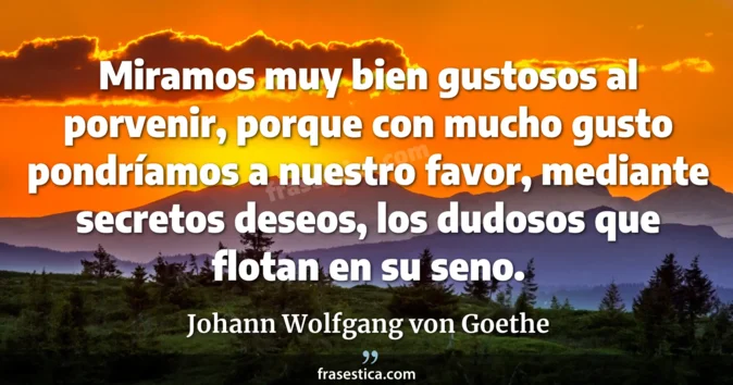 Cita de Johann Wolfgang von Goethe