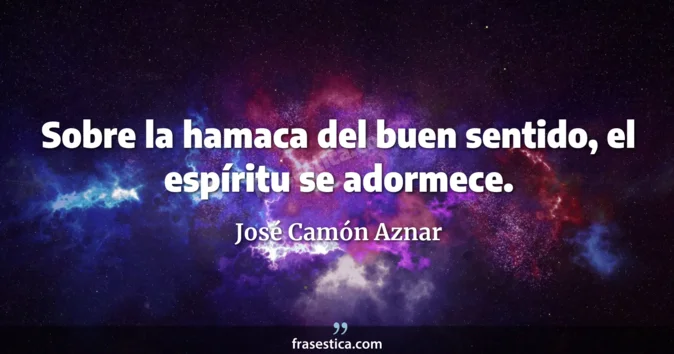 Cita de José Camón Aznar