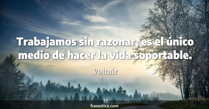 Cita de Voltair