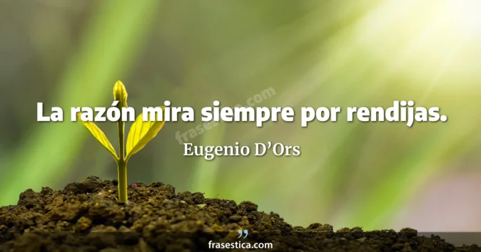 Cita de Eugenio D’Ors
