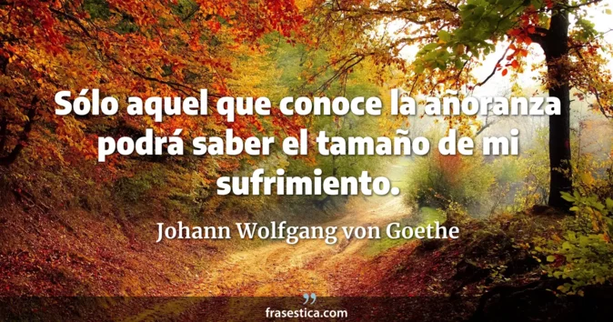 Cita de Johann Wolfgang von Goethe