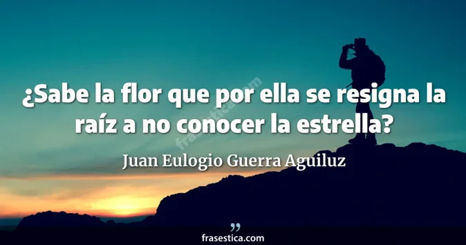 Cita de Juan Eulogio Guerra Aguiluz