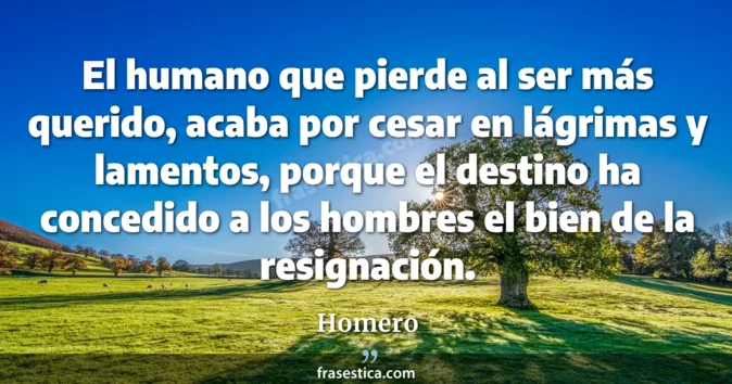 Cita de Homero