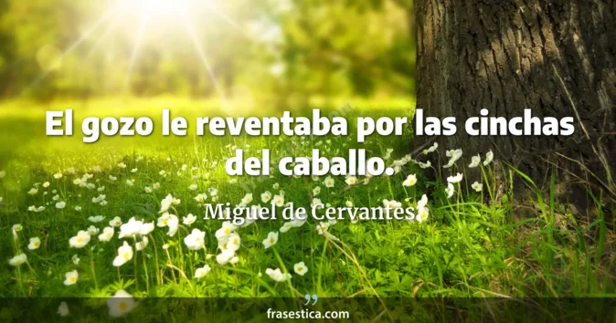 Cita de Miguel de Cervantes