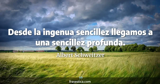 Cita de Albert Schweitzer