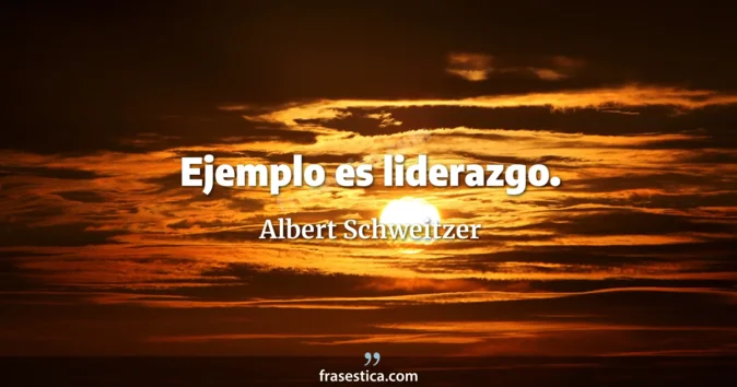 Cita de Albert Schweitzer