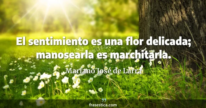 Cita de Mariano José de Larra