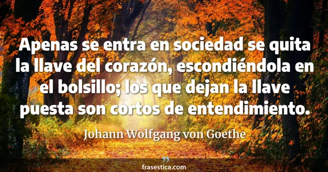 Cita de Johann Wolfgang von Goethe