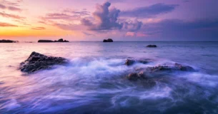 Tratemos de ver con el corazón. - Franz von Liszt