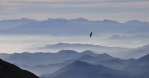 Lo más difícil de aprender de la vida es saber qué puente hay que cruzar y que puente hay que quemar. - David Syme Russell
