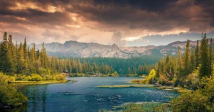 Todo el mundo quiere ir contigo en la limusina, pero lo importante es tener a alguien dispuesto a coger el autobús contigo cuando la limusina se estropea. - Oprah Winfrey