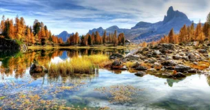 Las calumnias son enfermedades de los demás que se declaran en nuestro cuerpo. - Friedrich Nietzsche