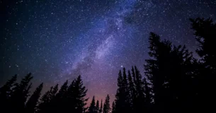 A veces un grito es mejor que una tesis. - Ralph Waldo Emerson