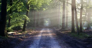 Cuando quieras emprender algo, habrá un montón de gente que te dirá que no lo hagas. Cuando vean que no te pueden detener, te dirán cómo lo tienes que hacer. Cuando finalmente lo logres, dirán que siempre han creído en ti. - Dante Gebel