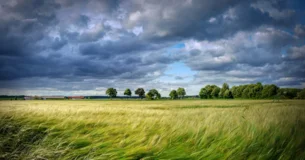 La vida del agricultor es la mejor calculada para la felicidad y para las virtudes humanas. - Thomas de Quincey