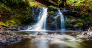 Existen dos tipos de buenas disposiciones de ánimo: 1. la íntima paz o satisfacción; 2. el corazón que siempre está alegre. La primera se obtiene a condición de tener conciencia de culpa alguna; la segunda es un don de la naturaleza. - Immanuel Kant