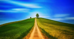 Si has iniciado un camino, sigue adelante a despecho de toda circunstancia. - Franz Kafka
