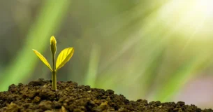 Cuanto más se ensancha el campo de la ciencia, más numerosas e irresistibles vienen a ser las demostraciones de la existencia eterna, de una inteligencia creadora y omnipotente. Geólogos, matemáticos, astrónomos, naturalistas y todos han llevado su piedra a este gran templo de la ciencia, templo elevado al mismo Dios. - William Herschel
